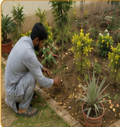 Gardening & Landscaping Works project photo