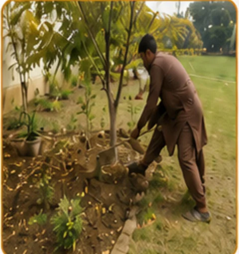 Gardening & Landscaping Works project photo