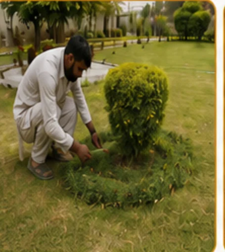 Gardening & Landscaping Works project photo