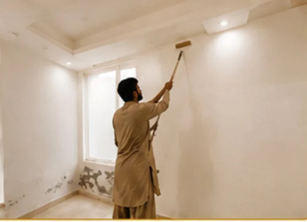 Painting & Color Services project photo